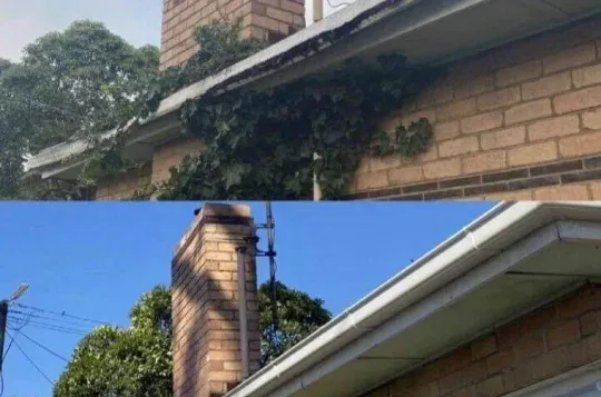 Gutter replacement and roof plumbing near Maribyrnong River